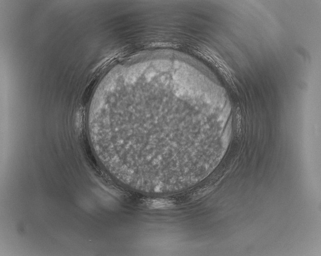 X0000115410165200912151549