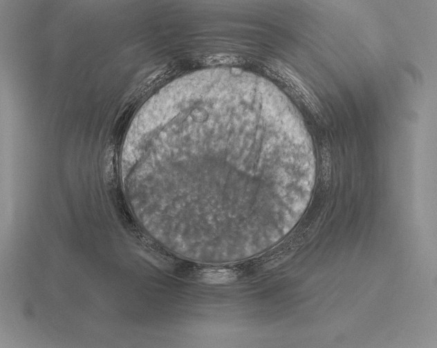 X0000115410169200912151549