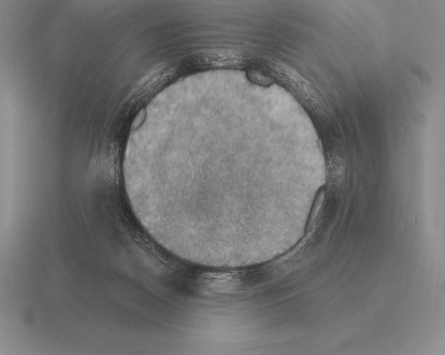 X0000115410170200912151549