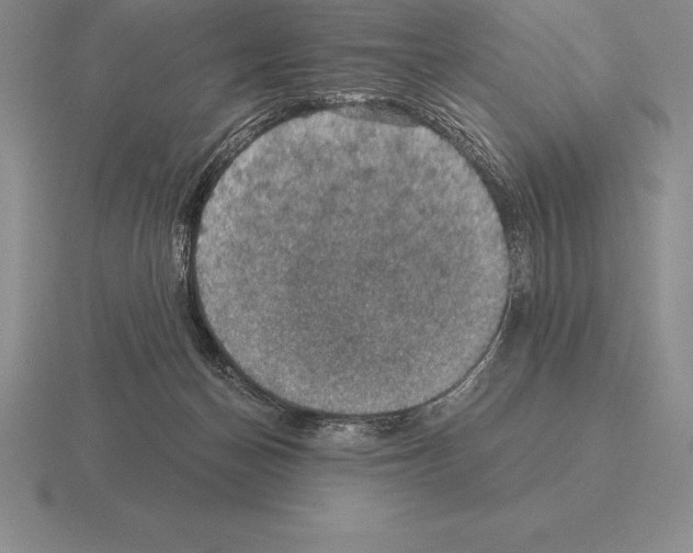 X0000115410174200912151549