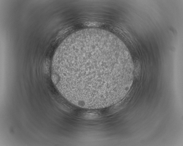 X0000115410175200912151549