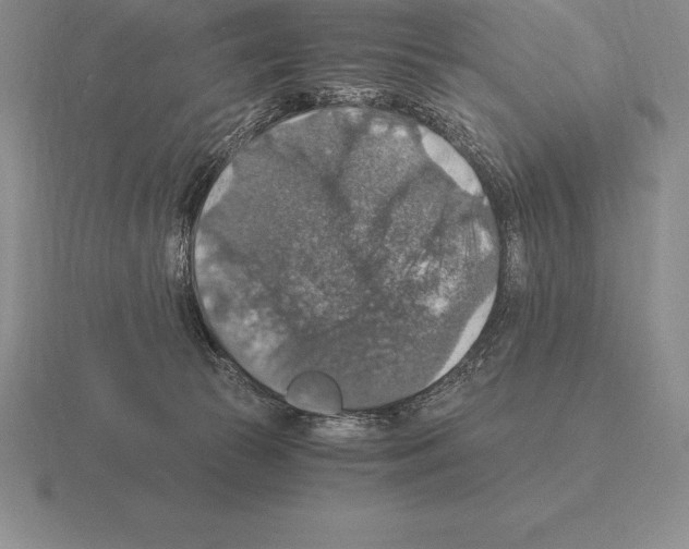 X0000115410177200912151549