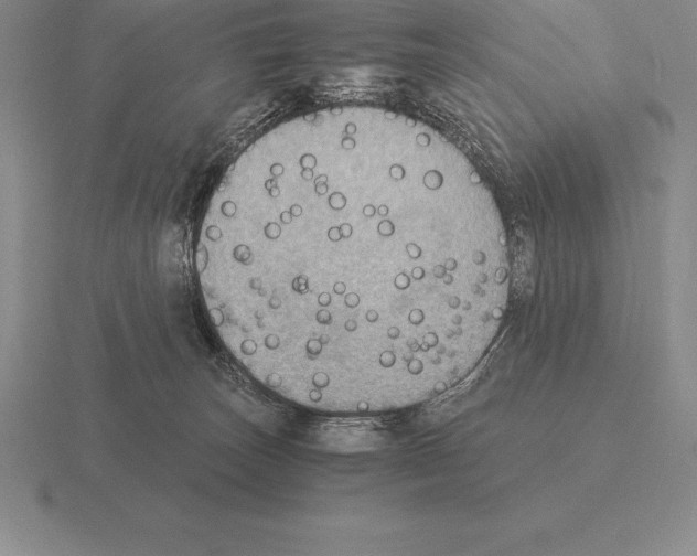 X0000115410179200912151549