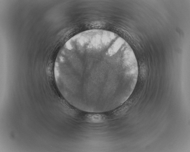 X0000115410181200912151549