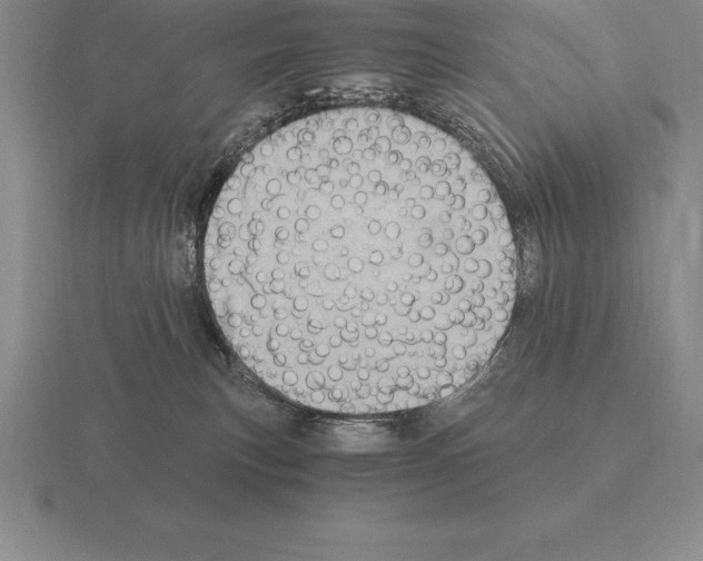 X0000115410183200912151549