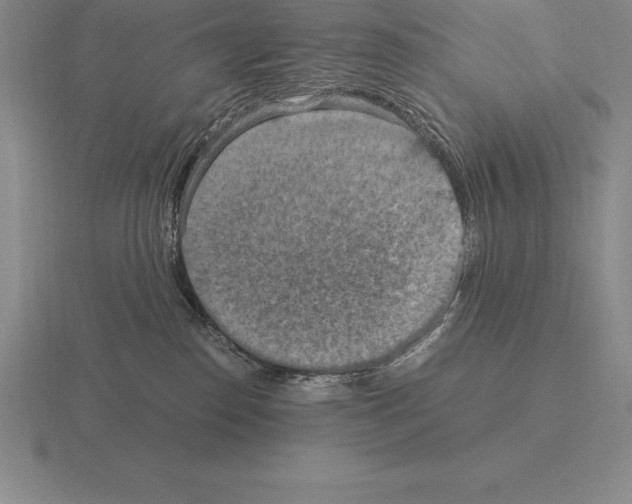 X0000115410186200912151549