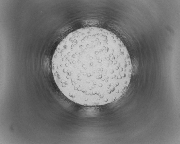 X0000115410187200912151549