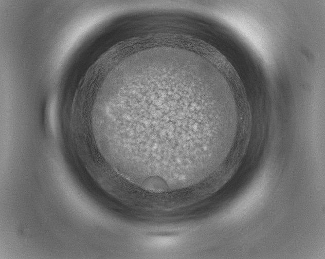 X0000115410189200912151549