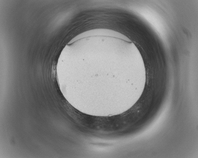 X0000115410190200912151549