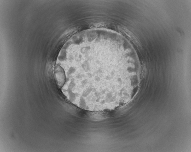 X0000115410191200912151549