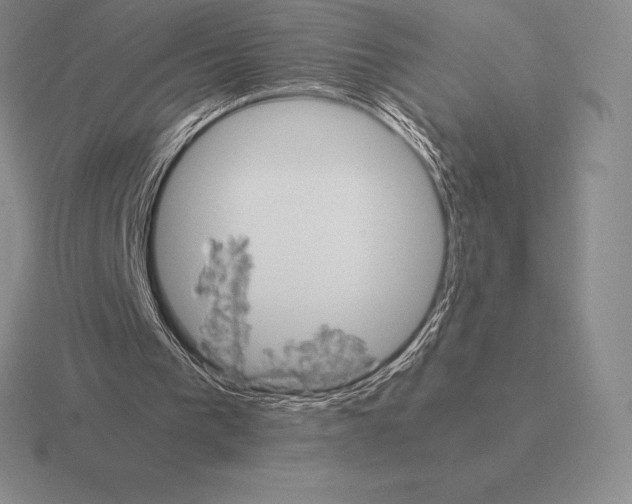 X0000115410193200912151549