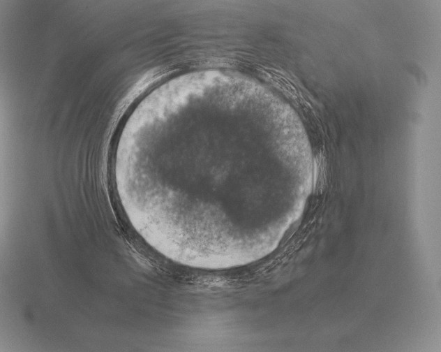 X0000115410195200912151549