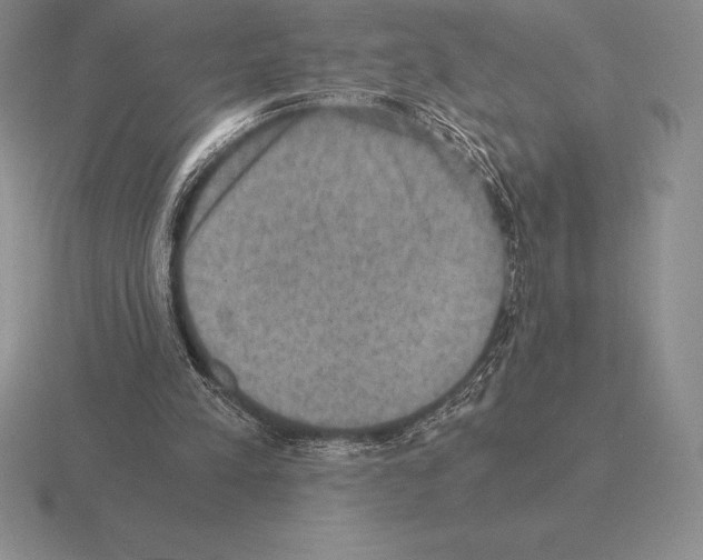 X0000115410197200912151549