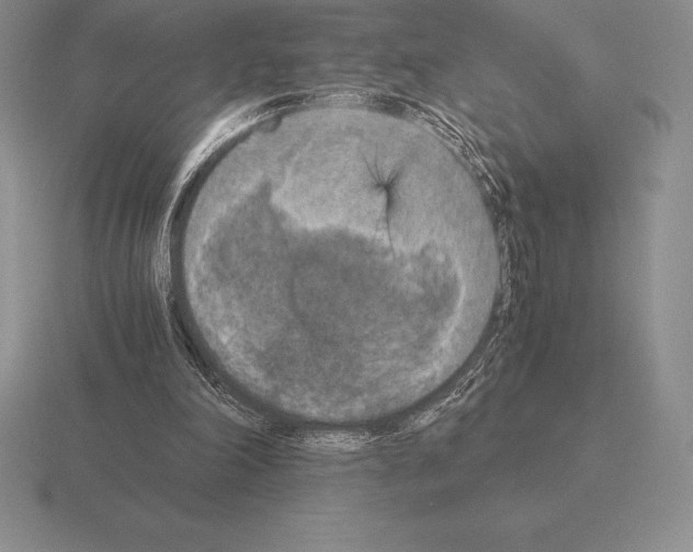 X0000115410198200912151549