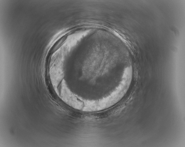 X0000115410199200912151549