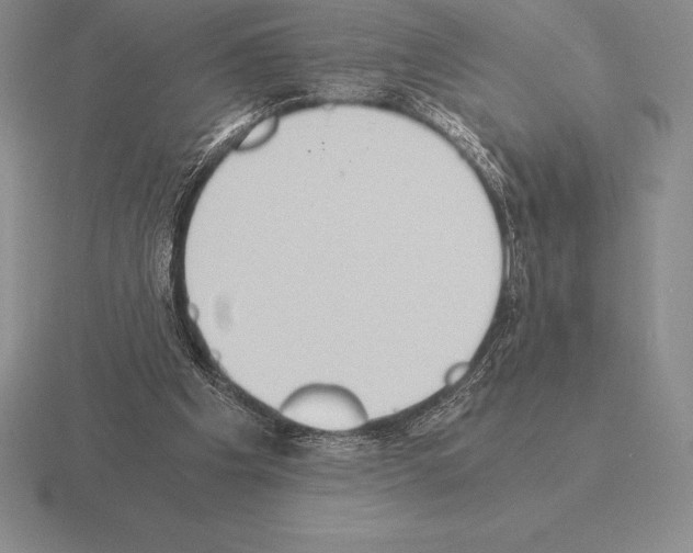 X0000115410201200912151549