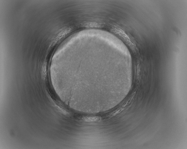 X0000115410202200912151549