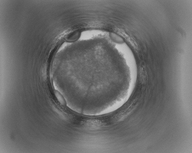 X0000115410203200912151549