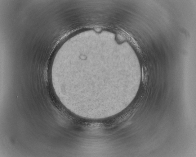 X0000115410204200912151549