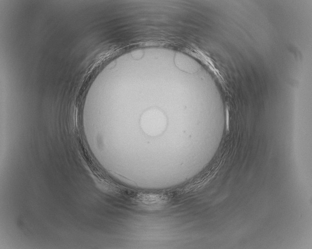 X0000115410205200912151549