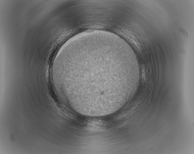 X0000115410206200912151548