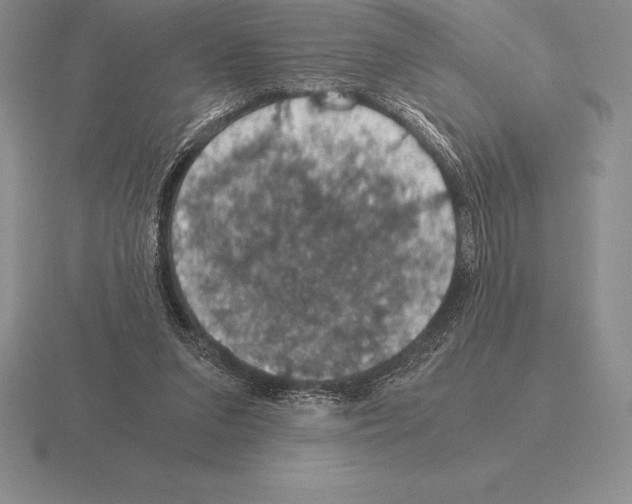 X0000115410207200912151548