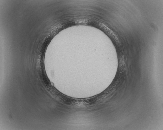 X0000115410209200912151548