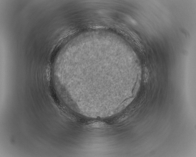 X0000115410210200912151548