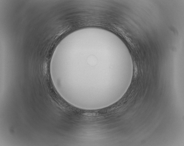 X0000115410211200912151548