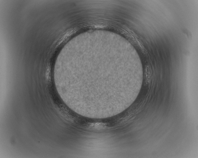 X0000115410212200912151548