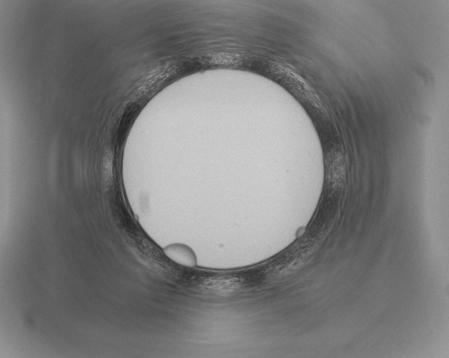 X0000115410213200912151548