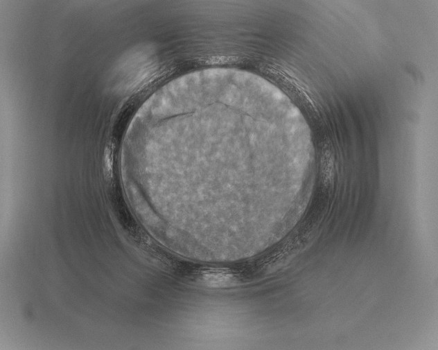 X0000115410214200912151548