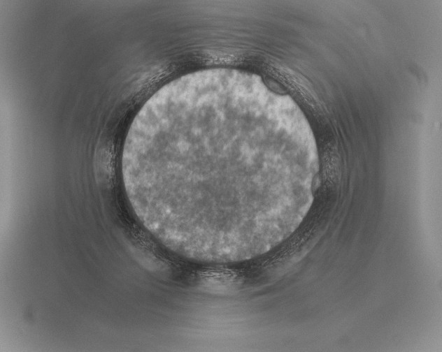 X0000115410215200912151548