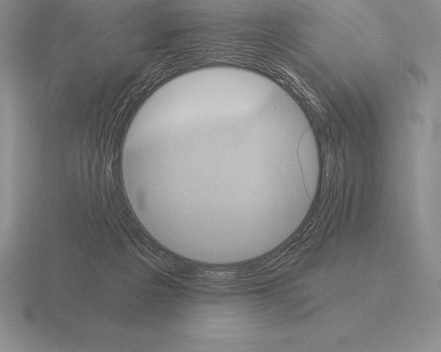 X0000115410217200912151548