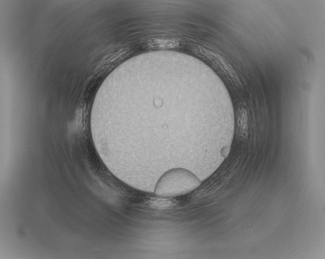 X0000115410218200912151548