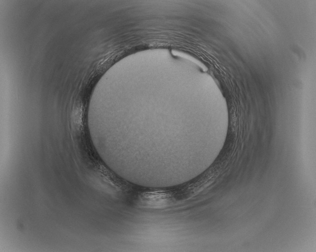 X0000115410219200912151548