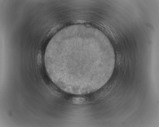 X0000115410220200912151548