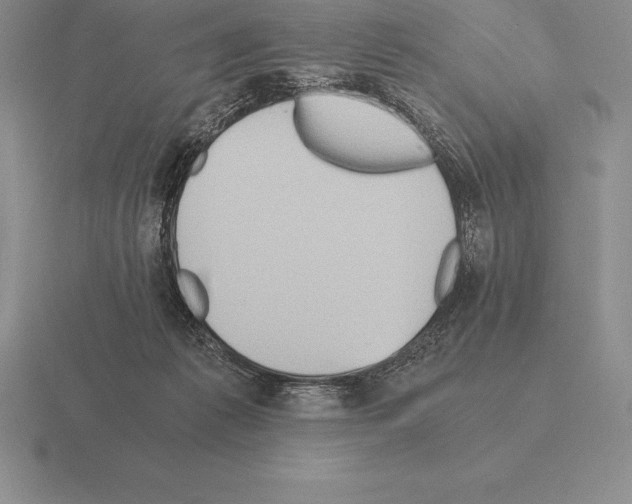 X0000115410221200912151548