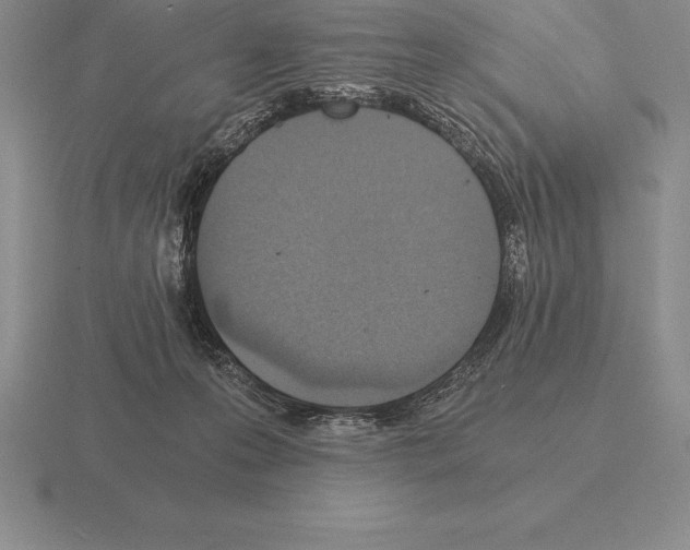 X0000115410223200912151548