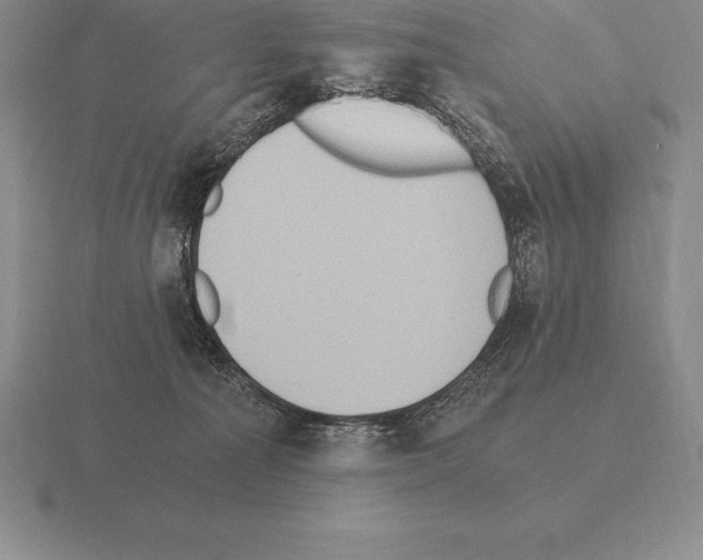 X0000115410225200912151548