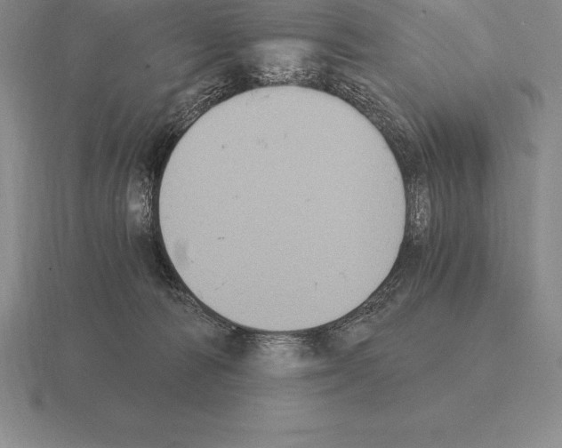 X0000115410226200912151548