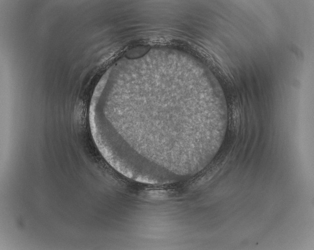 X0000115410228200912151548