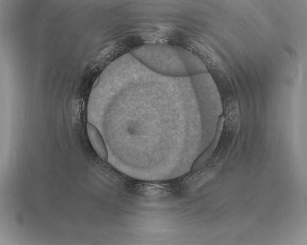 X0000115410229200912151548