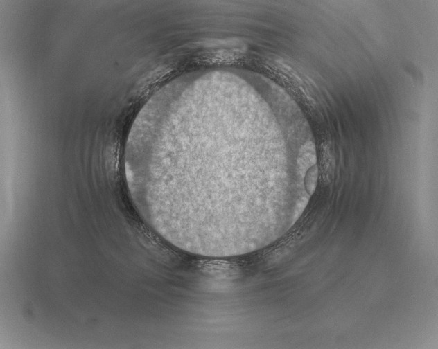 X0000115410230200912151548