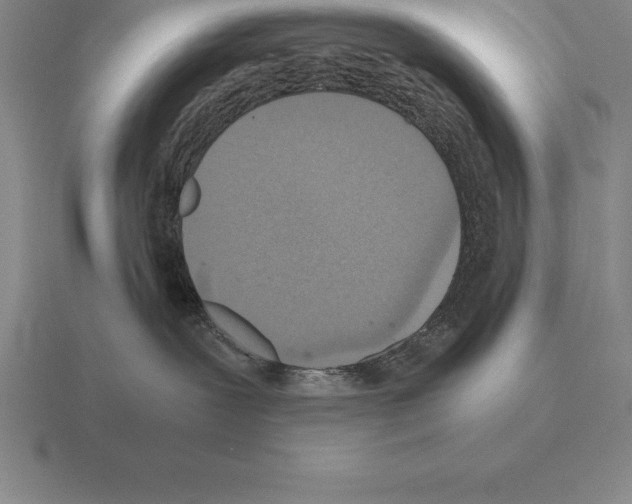 X0000115410239200912151548