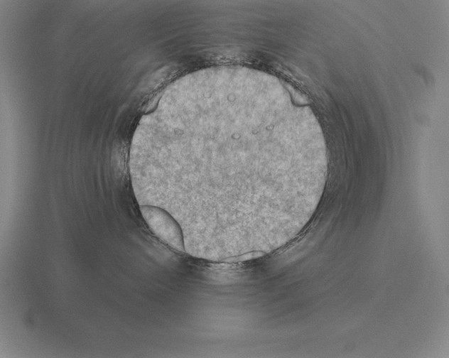 X0000115410240200912151548