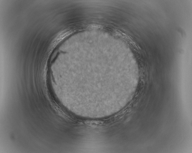 X0000115410242200912151547