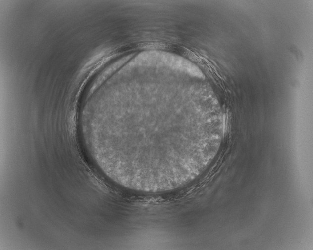 X0000115410243200912151547