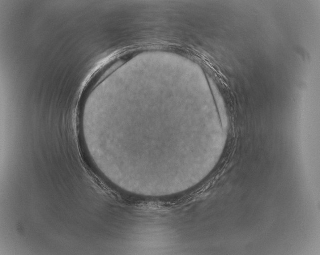 X0000115410244200912151547