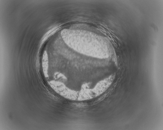 X0000115410245200912151547